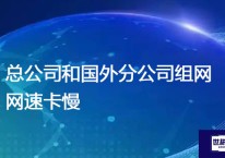 总公司和国外分公司组网网速卡慢？？？解决方案//世耕通信全球办公专网