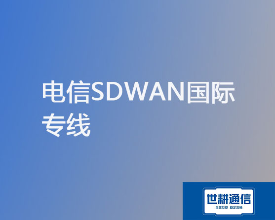 电信SDWAN国际专线？？？解决方案//世耕通信全球办公专网