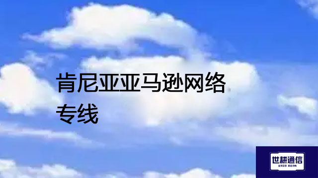 肯尼亚亚马逊网络专线？？？解决方案//世耕通信全球办公专网