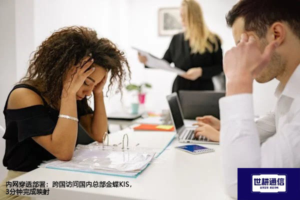 内网穿透部署：跨国访问国内总部金蝶KIS，3分钟完成映射？？？解决方案//世耕通信全球办公专网