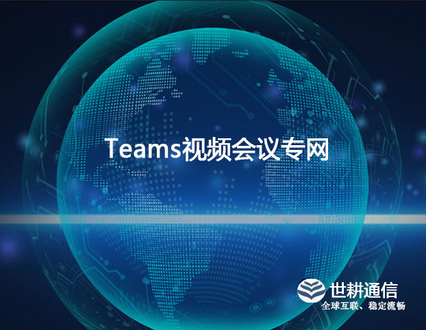 跨国车企teams拯救战：3D模型帧率8fps，油泵密封面失真？？？解决方案//世耕通信全球办公专网