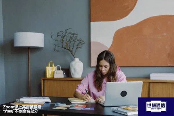 Zoom课上高音被截断，学生听不到高音部分？？？解决方案//世耕通信全球办公专网