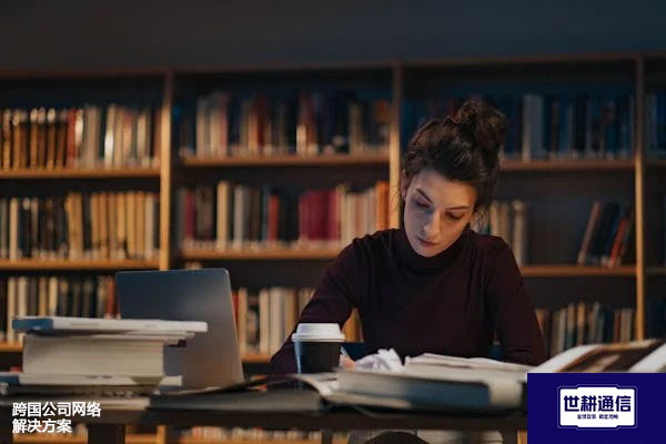 跨国公司网络？？？解决方案//世耕通信全球办公专网