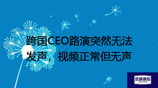 跨国CEO路演突然无法发声，视频正常但无声？？？解决方案//世耕通信全球办公专网
