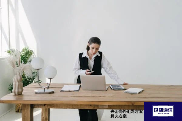 央企海外组网方案？？？解决方案//世耕通信全球办公专网