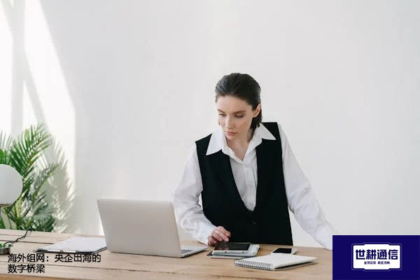  海外组网：央企出海的数字桥梁？？？解决方案//世耕通信全球办公专网
