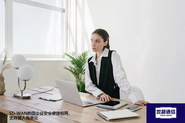 ​SD-WAN跨国企业安全便捷组网，支持接入各类云？？？解决方案//世耕通信全球办公专网