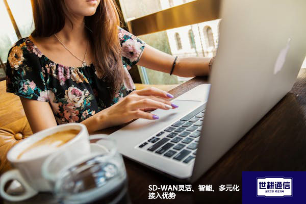 SD-WAN灵活、智能、多元化接入优势？？？解决方案//世耕通信全球办公专网  