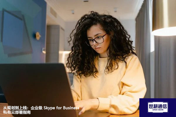 从规划到上线：企业级 Skype for Business 私有云部署指南？？？解决方案//世耕通信  即时通讯（IM）私有化部署