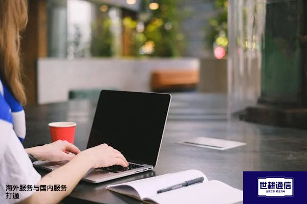海外服务与国内服务打通？？？解决方案//世耕通信全球办公专网
