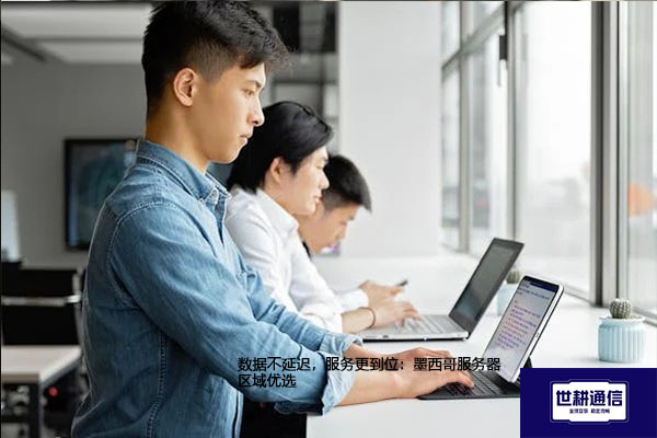 数据不延迟，服务更到位：墨西哥服务器区域优选？？？解决方案//世耕通信全球办公专网