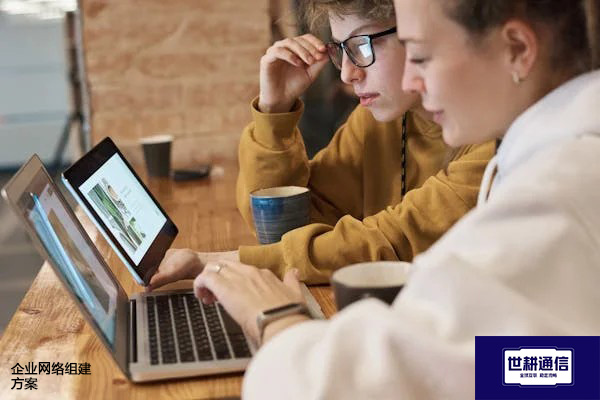 企业网络组建方案？？？解决方案//世耕通信全球办公专网