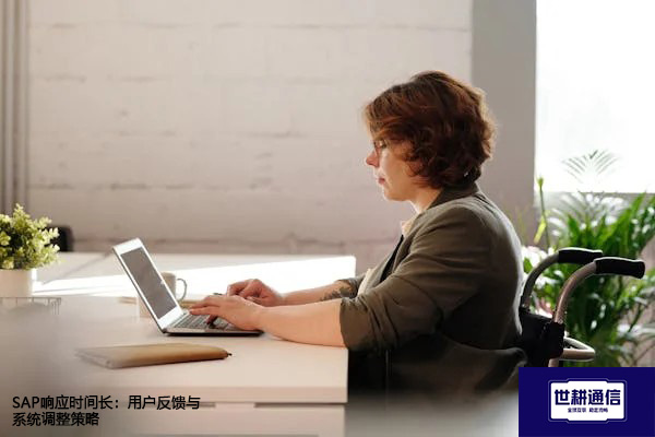 SAP响应时间长:用户反馈与系统调整策略???解决方案//世耕通信全球办公专网 SAP响应时间长:用户反馈与系统调整策略???解决方案//世耕通信全球办公专网